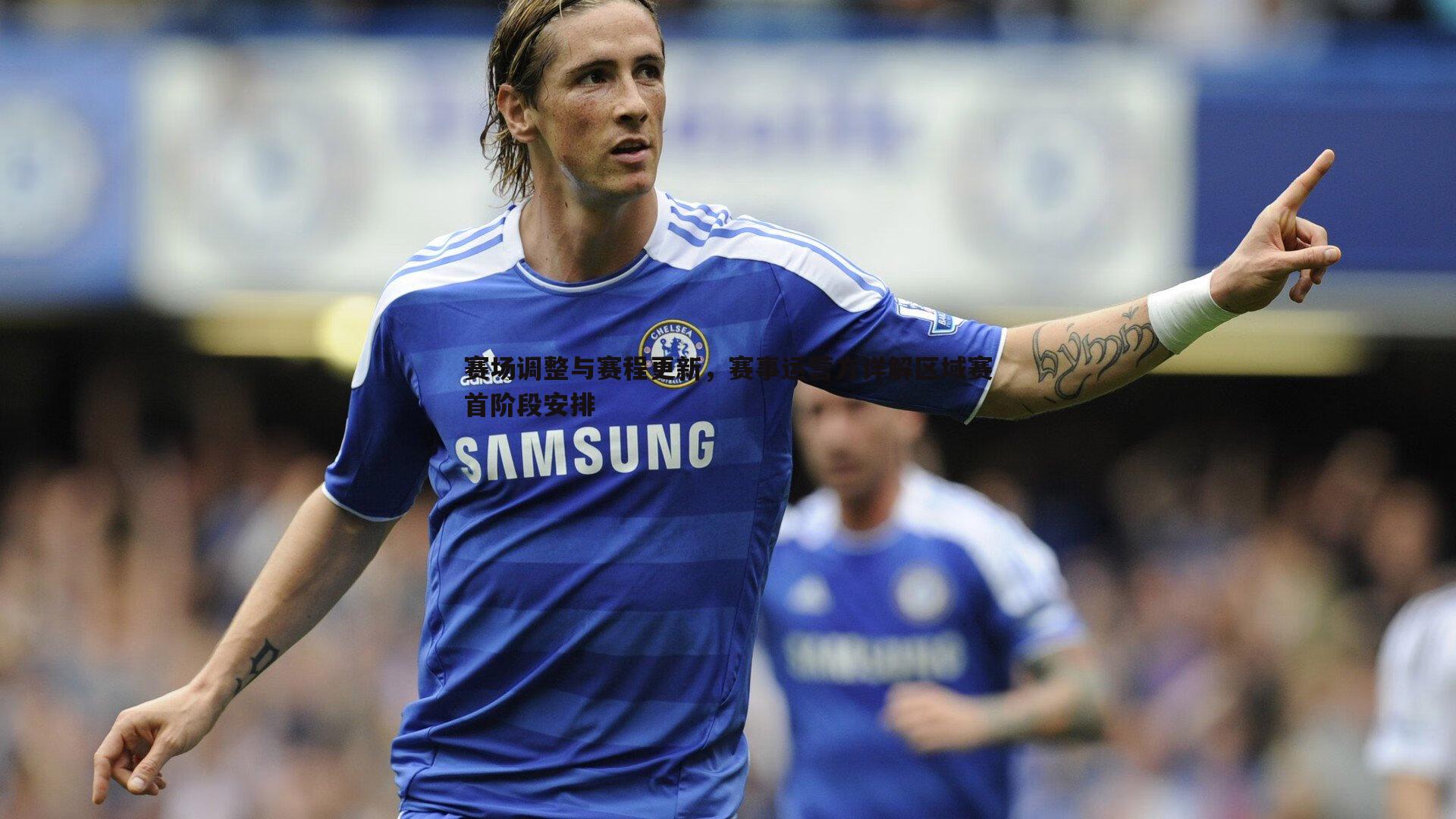 赛场调整与赛程更新,赛事运营方详解区域赛首阶段安排